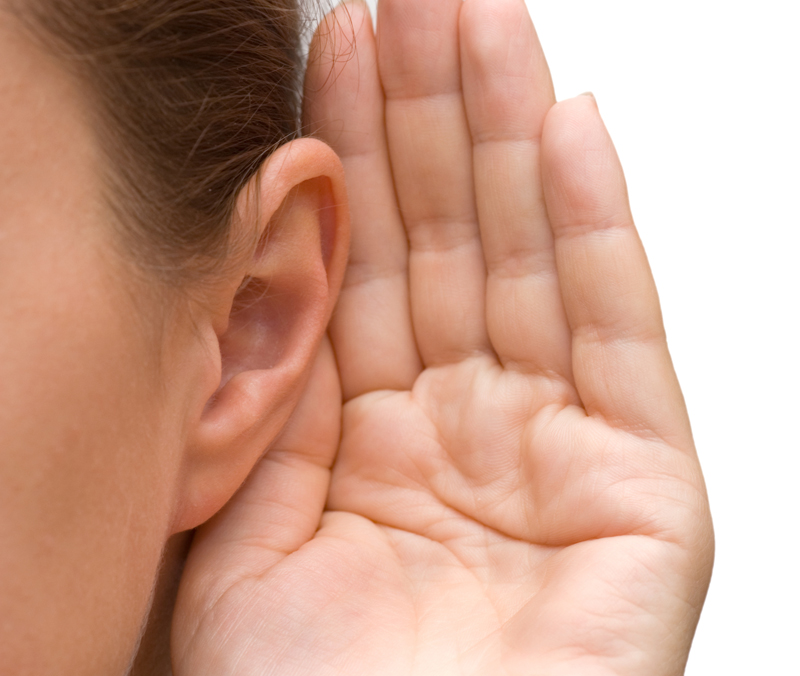 Hearing Aid Services||||